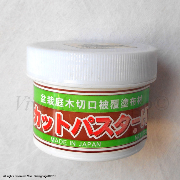 Mastice Giapponese Per Bonsai - 160 Gr - Per Cicatrizzazione E Innesti