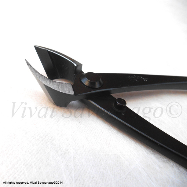 Set 4 Attrezzi Per Bonsai Vouiu In Acciaio INOX - Tronchese Concava, Sferica, Tagliarami E Forbici Da 21 Cm | Kit Professionale Per Potatura E Cura Bonsai